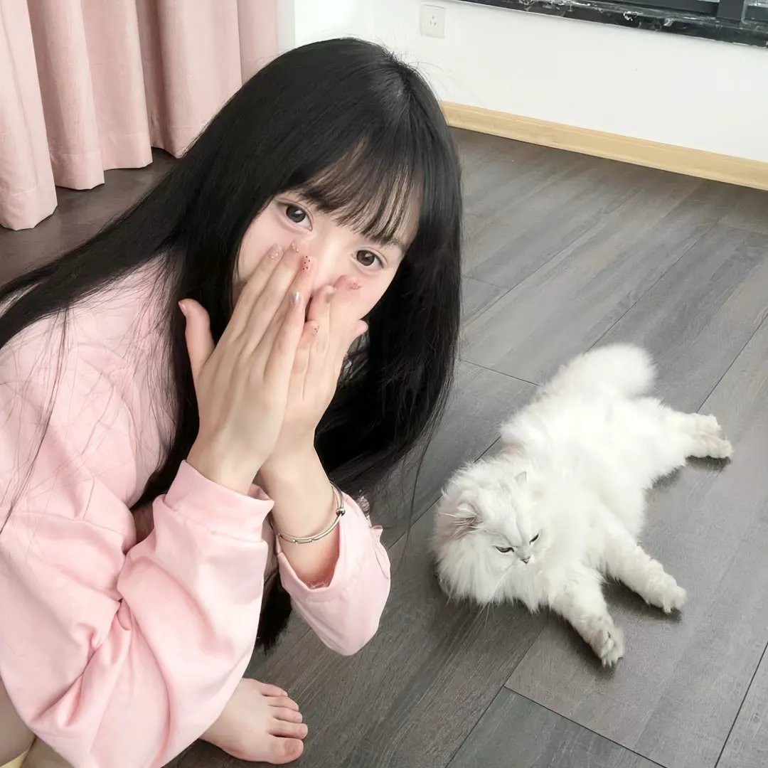 艾哈迈德王子历险记