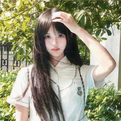 雪莉2024